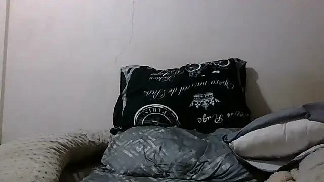 Culero33xxx webcam