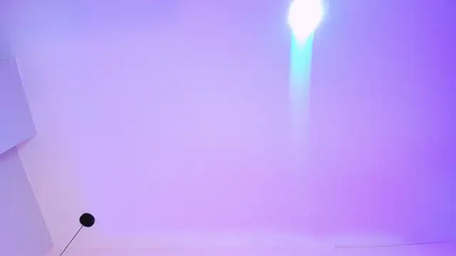 AliceThompsonn_ webcam