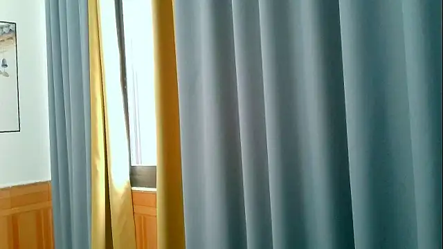 davidboys webcam