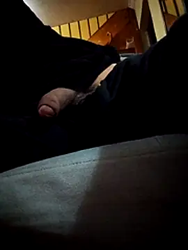 Xchilex webcam