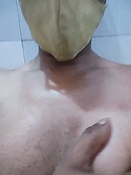 bottom_monty webcam
