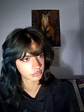 sukulaurens webcam