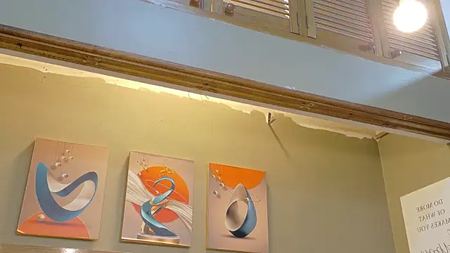 kaiawhite webcam