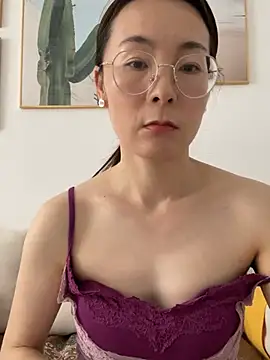 you-520 webcam