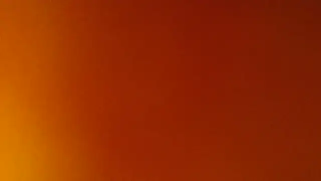 Sophia_your
