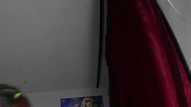 StarElii webcam