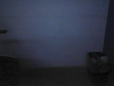 Kalel17073 webcam