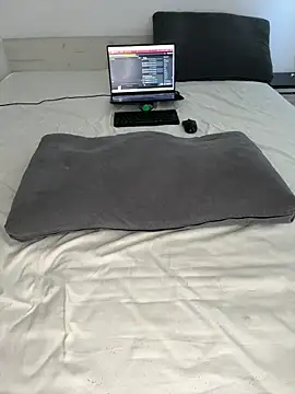 Anal_Top webcam
