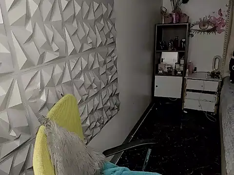 janecomander webcam