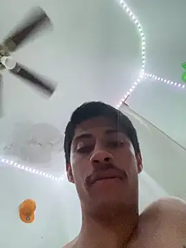 culitotragon24 webcam