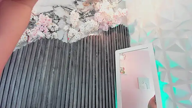 Zephyra_bms webcam