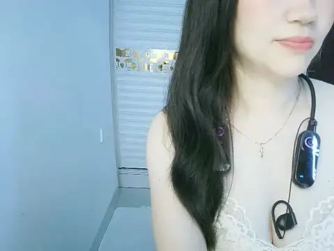 Sq610 webcam