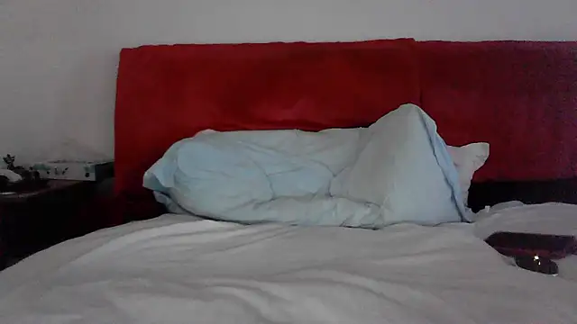 almorettin webcam