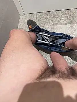 CheapFan55 webcam