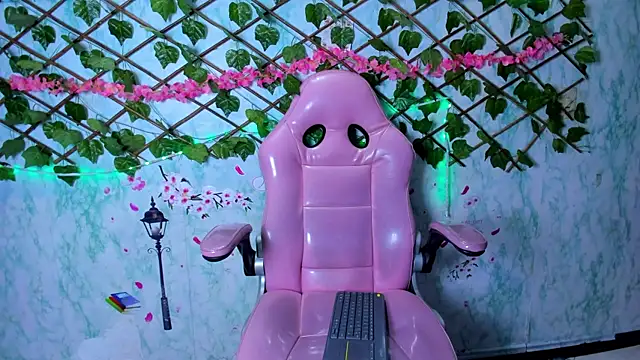 Pamesmith webcam