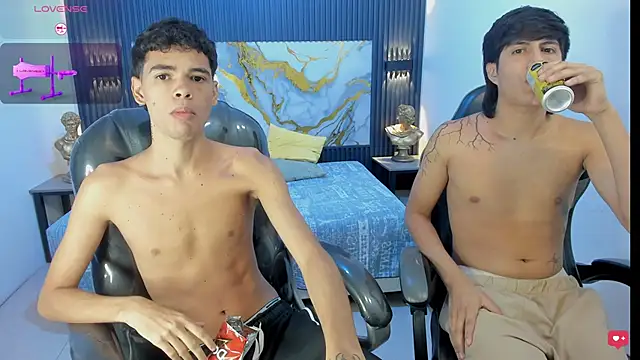Estiv18_ webcam