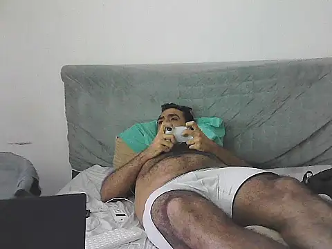 IronSideBear webcam