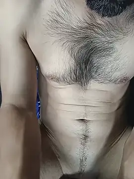Enzo-wolf33 webcam