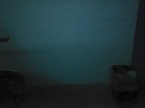 Kalel17073's live stream