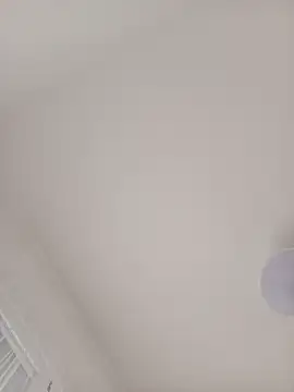 Lidia3590 webcam