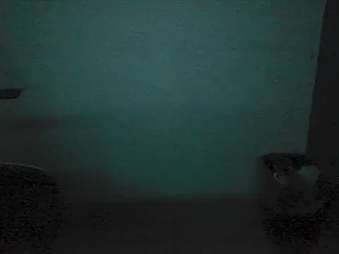 Kalel17073 webcam