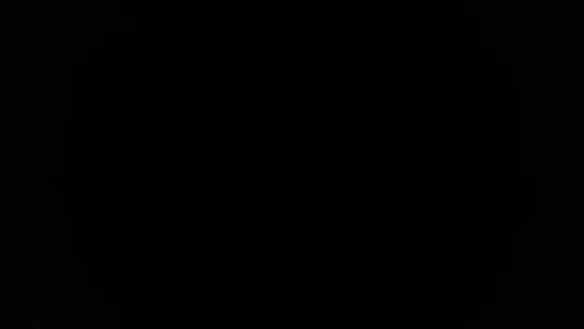 palidin1 webcam