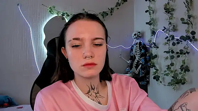 Elastikisss webcam