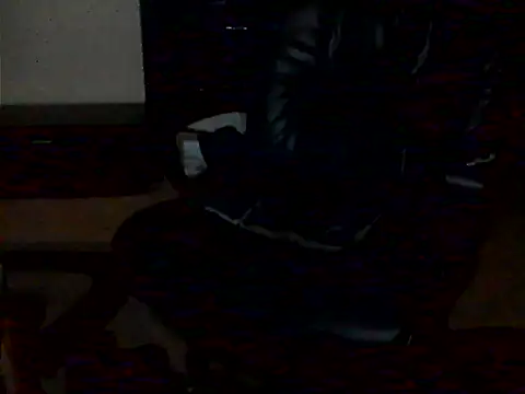 czechboy21 webcam