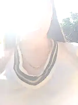 pic8800 webcam