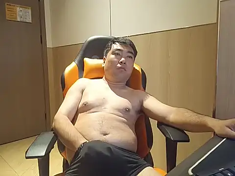 wz9500 webcam