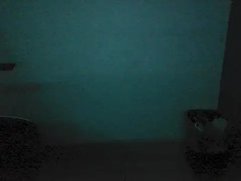 Kalel17073 webcam