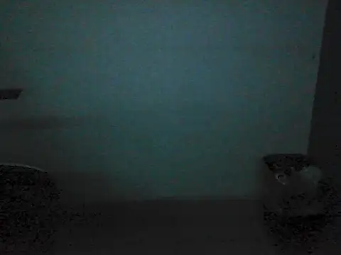 Kalel17073 webcam