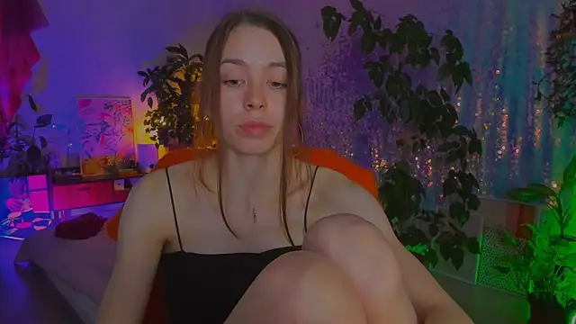 poli__ webcam