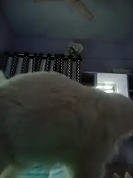 Hansikatelugu webcam