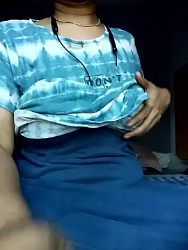 Hansikatelugu webcam