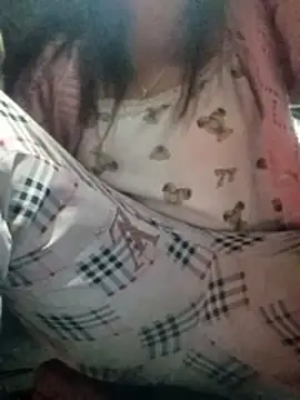 Tina-i webcam