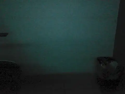 Kalel17073 webcam