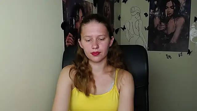 StellaCRL webcam