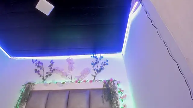 abbiecollins_js webcam
