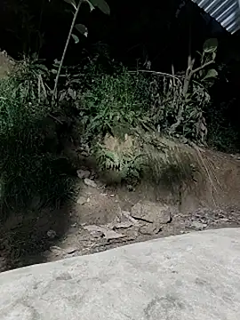 WeaklyMop webcam