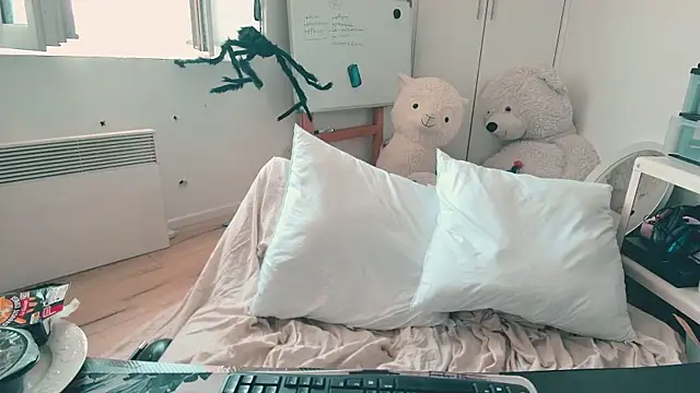 CeriseLapine webcam