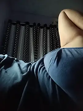 Hansikatelugu webcam