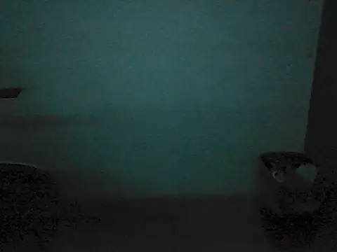 Kalel17073 webcam