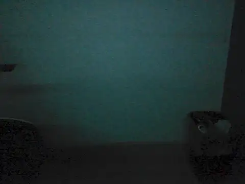 Kalel17073 webcam