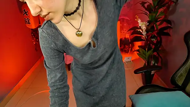 LidaDarknet webcam