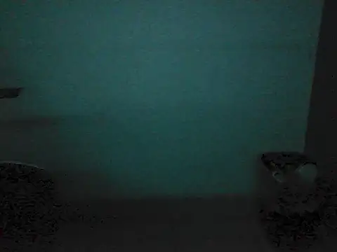 Kalel17073 webcam
