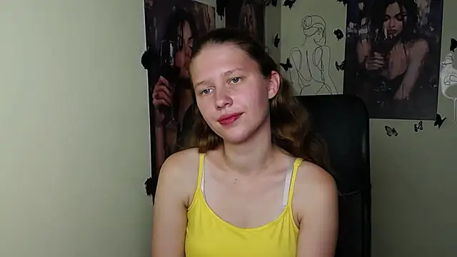 StellaCRL webcam