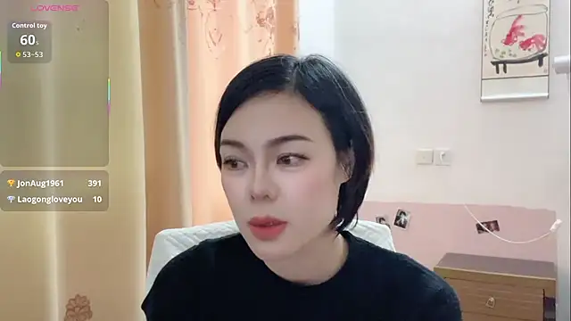 Linda-LL webcam