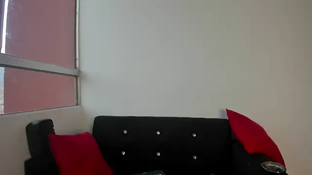 Onion_knight webcam