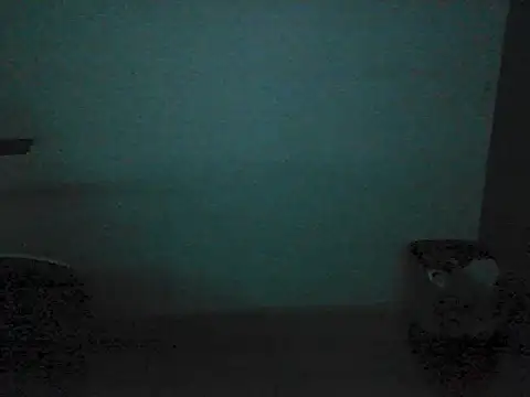 Kalel17073 webcam
